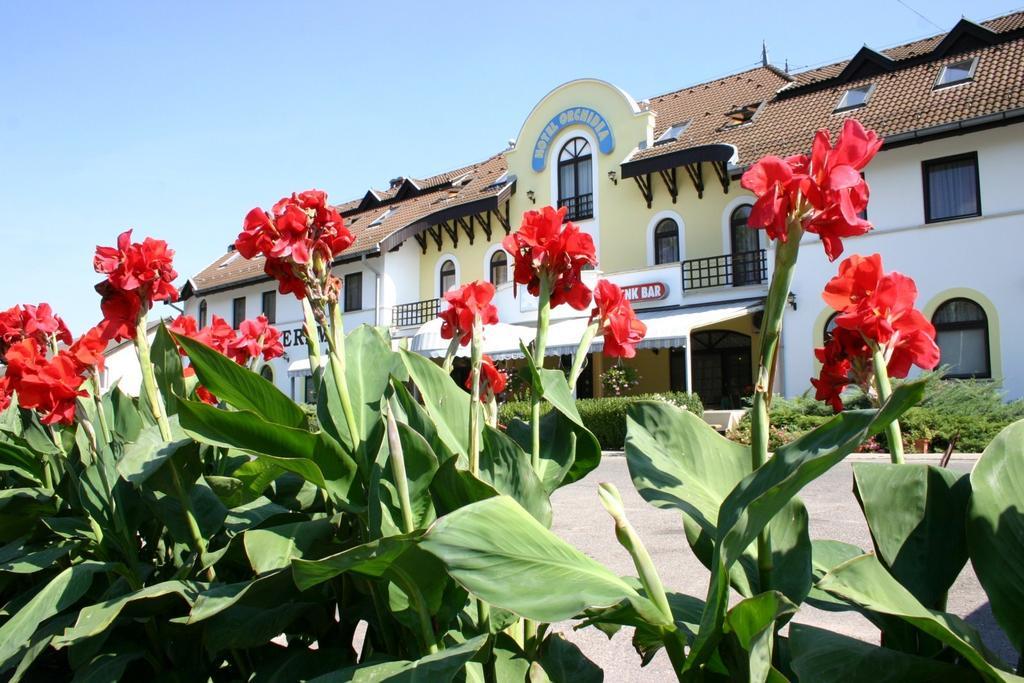Hotel Orchidea Balastya Bagian luar foto