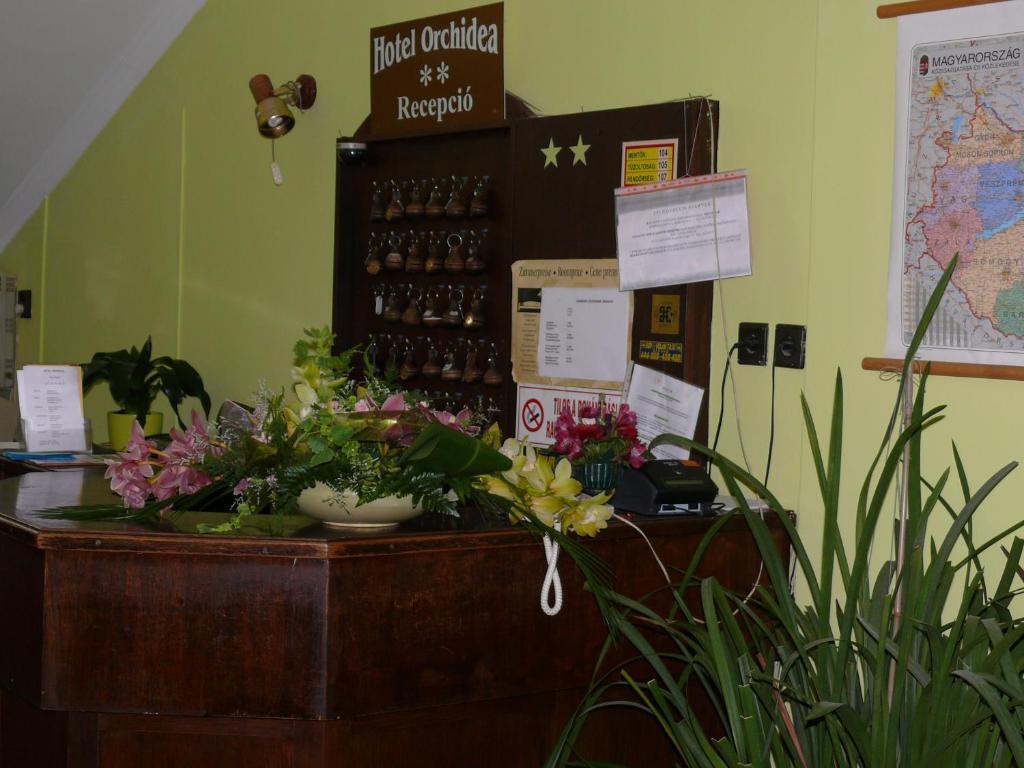 Hotel Orchidea Balastya Bagian luar foto